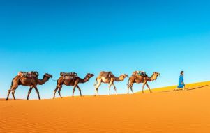 Фотообои Караван в пустыне