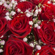 Фреска Букет красных роз