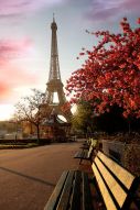 Фреска Эйфелева башня в цвету