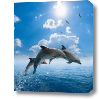 Картина Дельфины